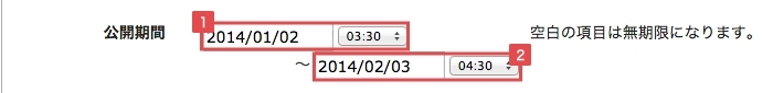<h4>公開期限を設定する場合</h4>